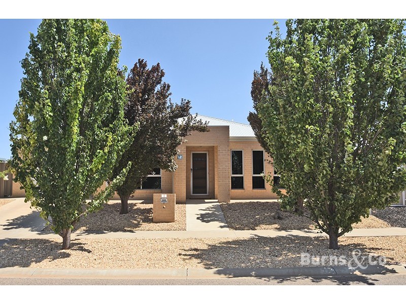 12 Lever Jary Court, Red Cliffs VIC 3496