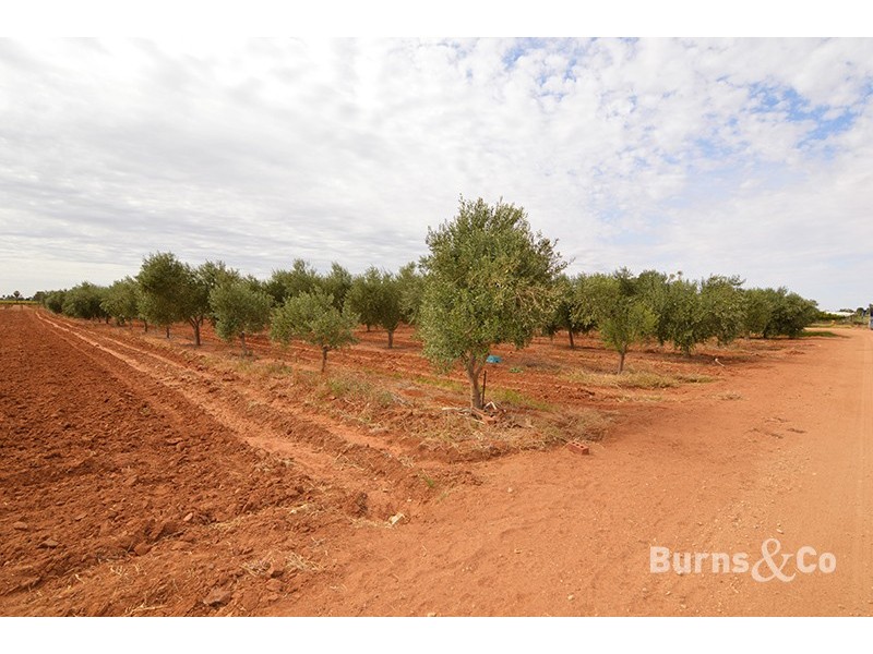 Lot 3 Fifth Street, Merbein VIC 3505