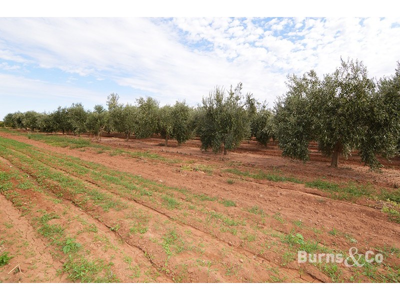 Lot 3 Fifth Street, Merbein VIC 3505