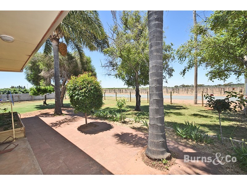 33 Cudgee Road, Dareton NSW 2717