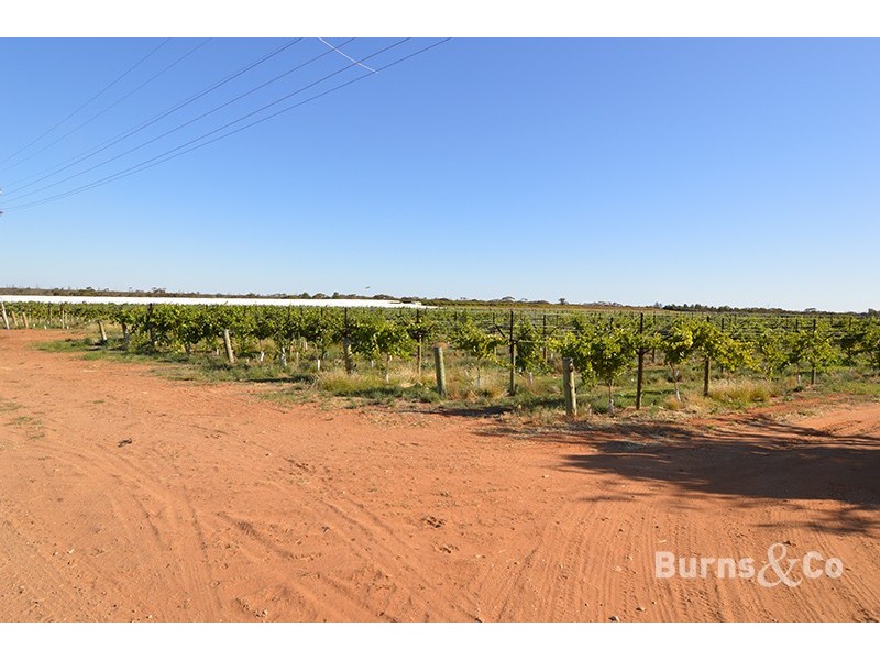 8 Ponde Street, Cardross VIC 3496