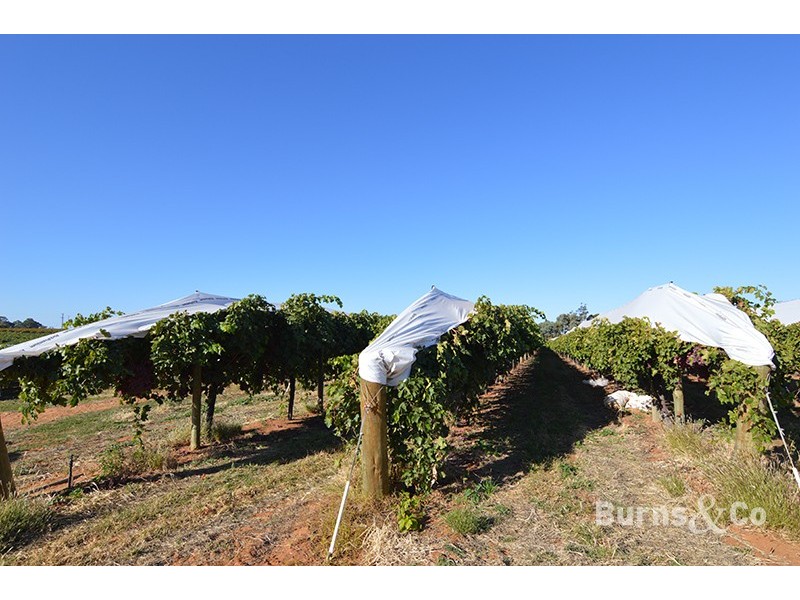 8 Ponde Street, Cardross VIC 3496