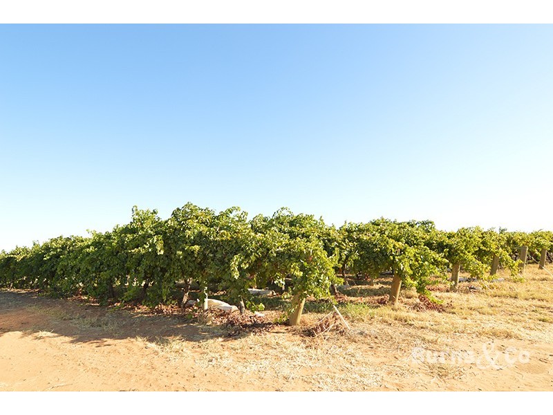 8 Ponde Street, Cardross VIC 3496