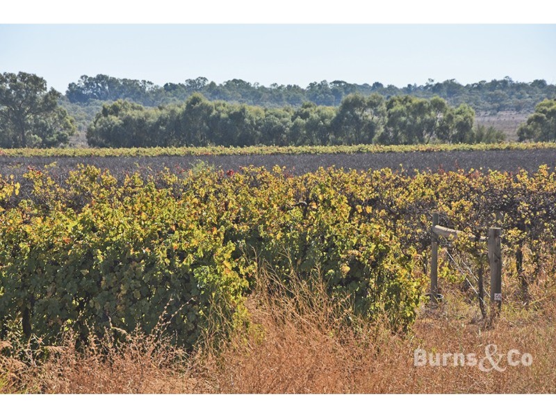 Lot 4 159 Cureton Avenue, Nichols Point VIC 3501