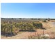 Lot 4 159 Cureton Avenue, Nichols Point VIC 3501