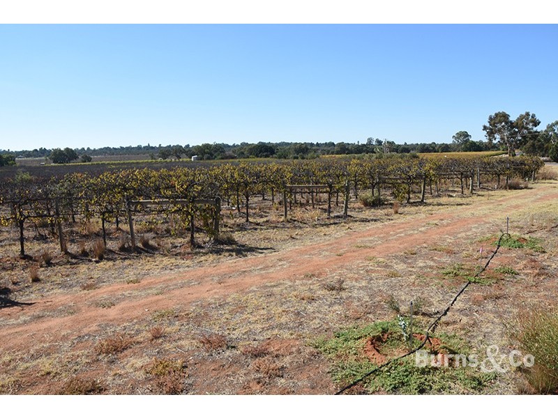 Lot 4 159 Cureton Avenue, Nichols Point VIC 3501