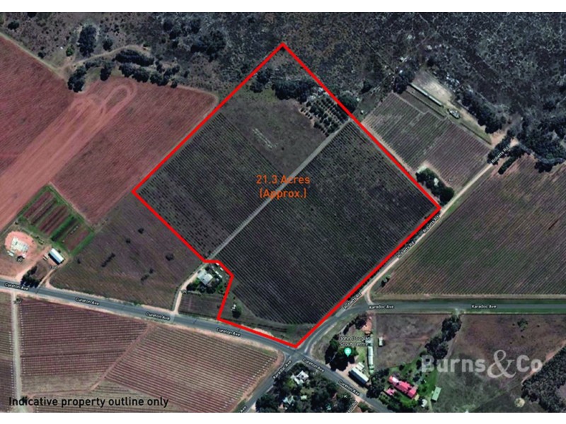 Lot 4 159 Cureton Avenue, Nichols Point VIC 3501