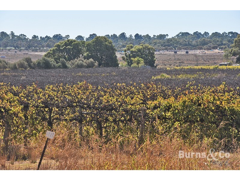 Lot 4 159 Cureton Avenue, Nichols Point VIC 3501