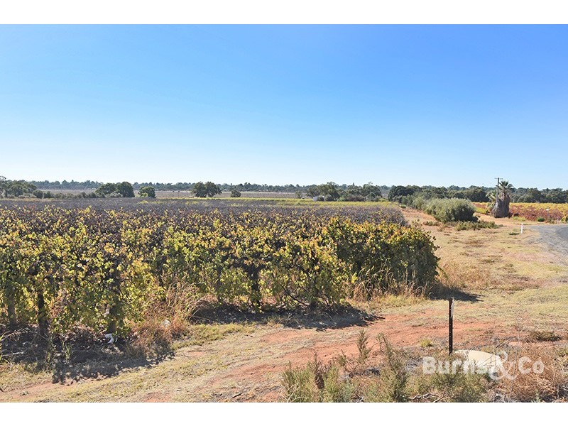 Lot 4 159 Cureton Avenue, Nichols Point VIC 3501