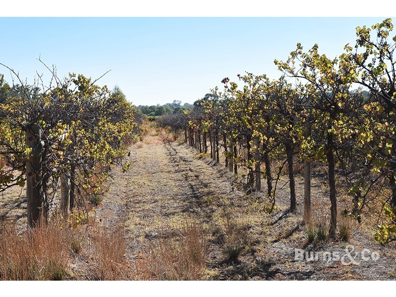 Lot 4 159 Cureton Avenue, Nichols Point VIC 3501