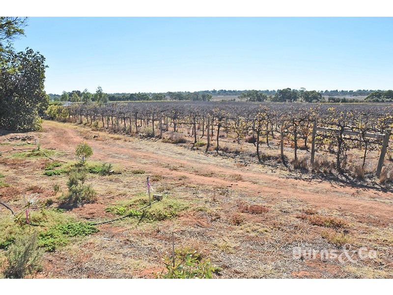 Lot 4 159 Cureton Avenue, Nichols Point VIC 3501