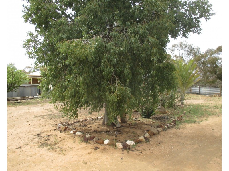 5 Cregan Street, Walpeup VIC 3507