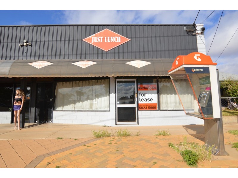 73 Seventh Street, Mildura VIC 3500