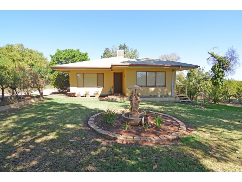 28 Coorong Avenue, Irymple VIC 3498