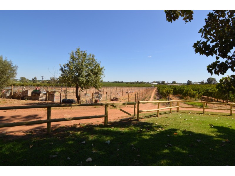 28 Coorong Avenue, Irymple VIC 3498