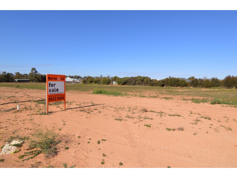 6 Marci Court, Nichols Point VIC 3501