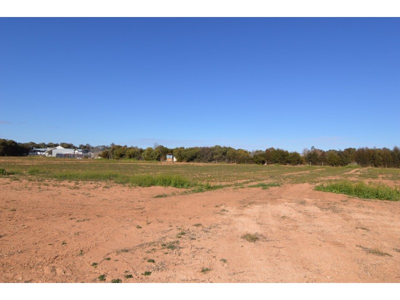 6 Marci Court, Nichols Point VIC 3501