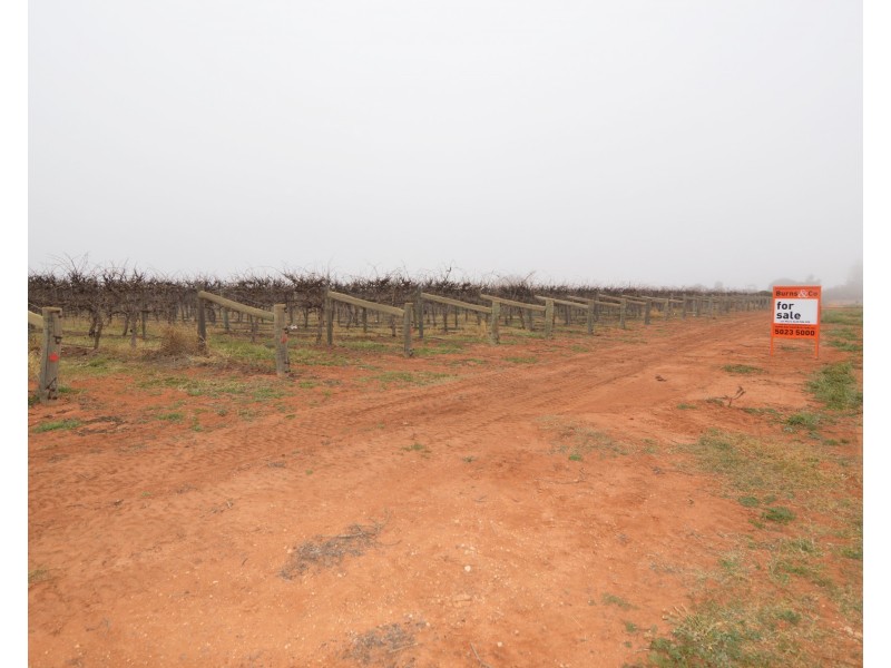 578 Ropers Road, Cardross VIC 3496