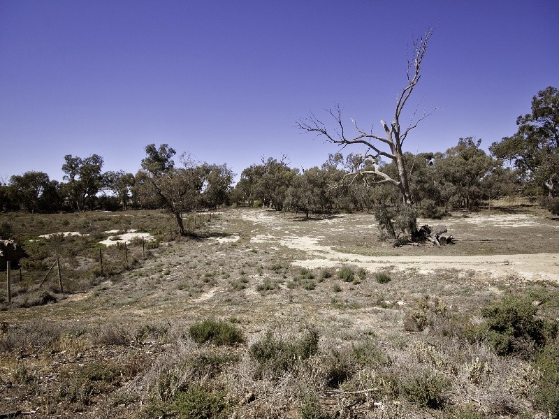 30 Ryder Crescent, Wentworth NSW 2648