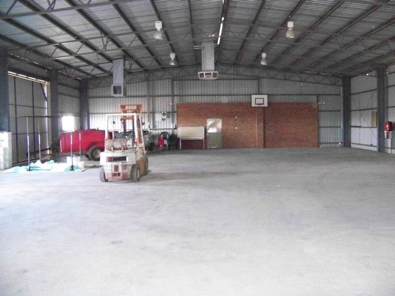 241 Ginquam Avenue, Irymple VIC 3498