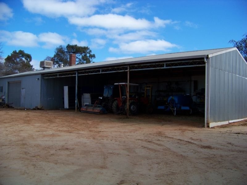 241 Ginquam Avenue, Irymple VIC 3498