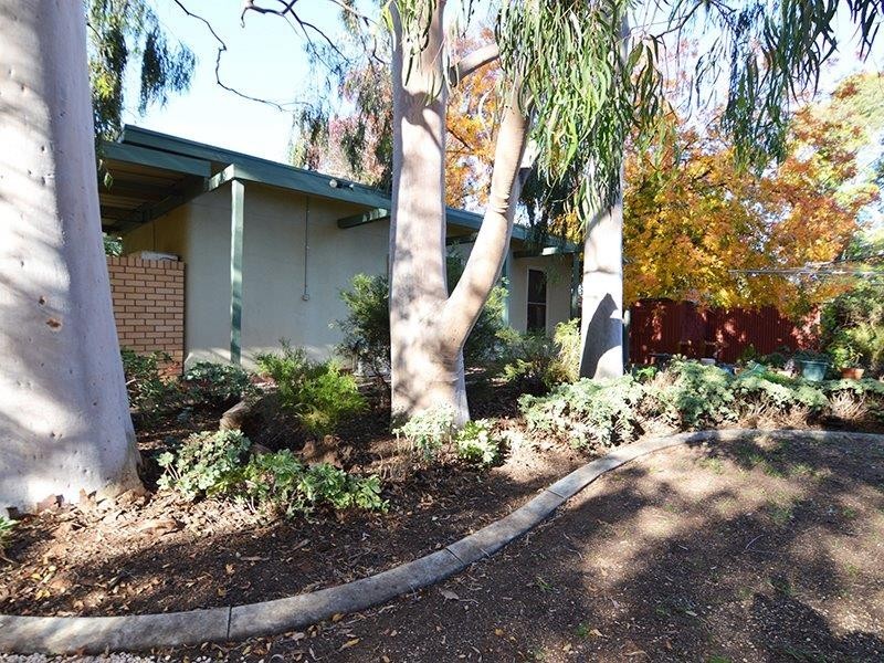 35 River Avenue, Merbein VIC 3505