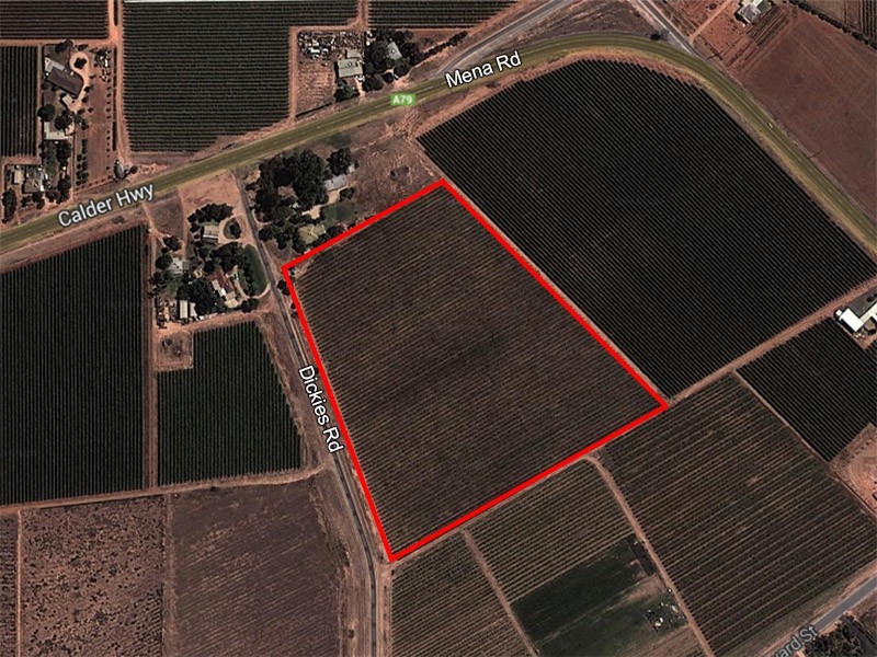 49 Mena Road, Birdwoodton VIC 3505