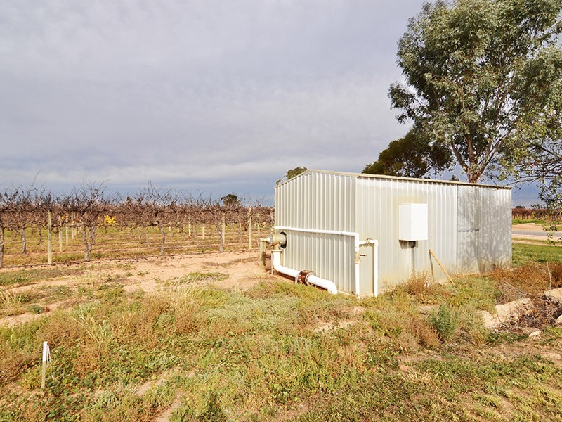 49 Mena Road, Birdwoodton VIC 3505