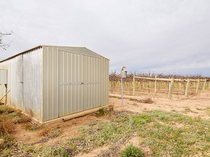 49 Mena Road, Birdwoodton VIC 3505