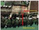 18 Carramar Drive, Gol Gol NSW 2738