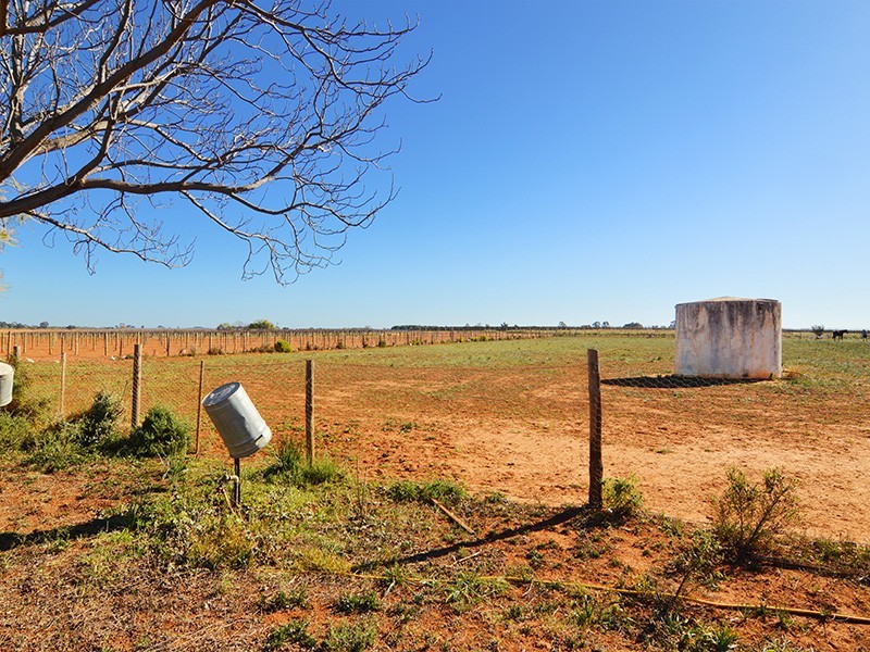 210 Jezzine Road, Robinvale VIC 3549