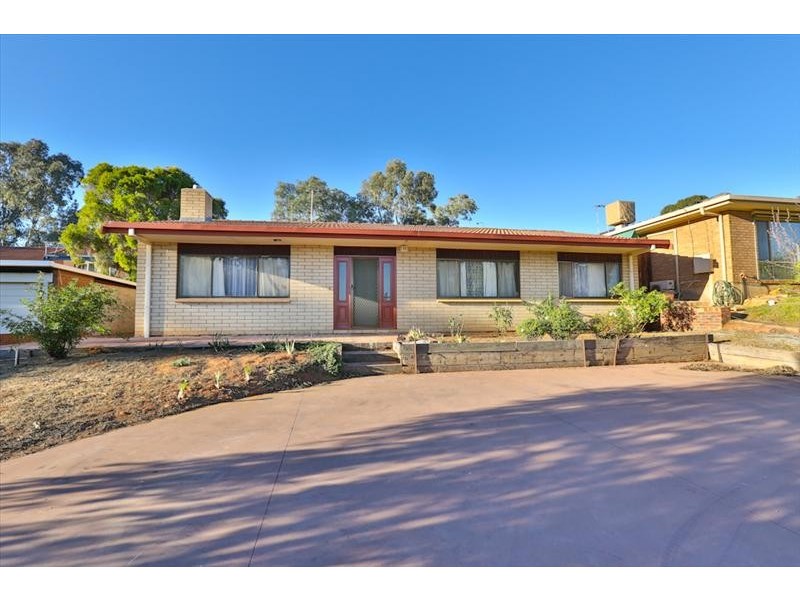 19 Riverview Drive, Dareton NSW 2717