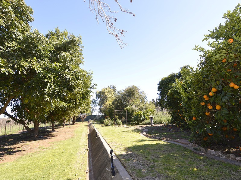 36 Coorong Avenue, Irymple VIC 3498