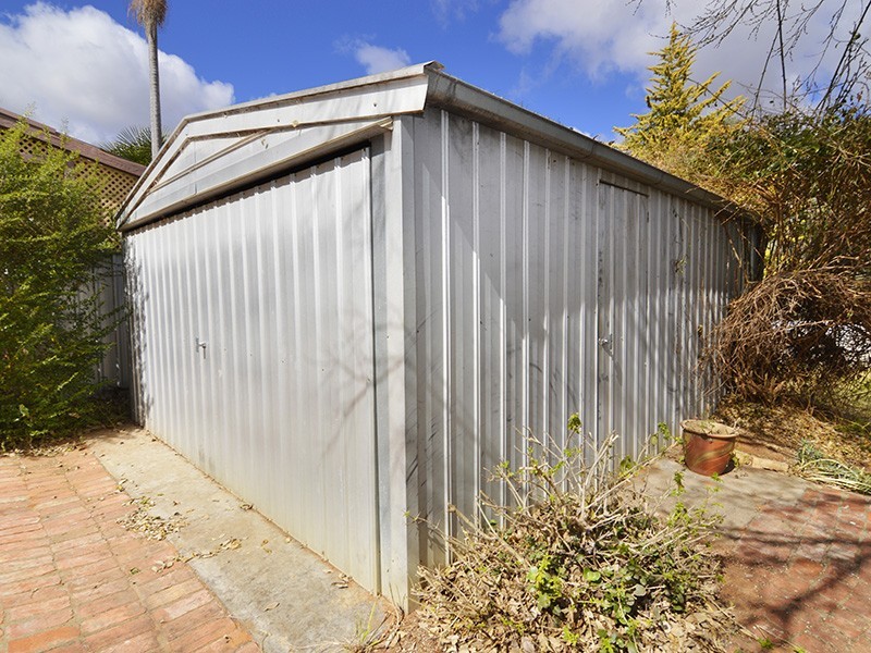 12 Riverview Drive, Dareton NSW 2717