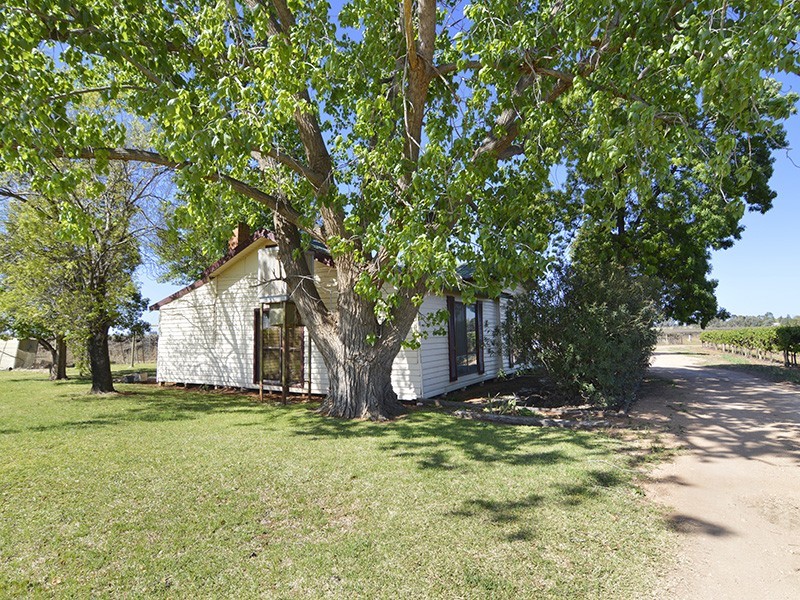 245 Cowanna Avenue South, Merbein South VIC 3505