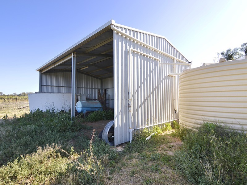 280 Comebunyee Road, Dareton NSW 2717