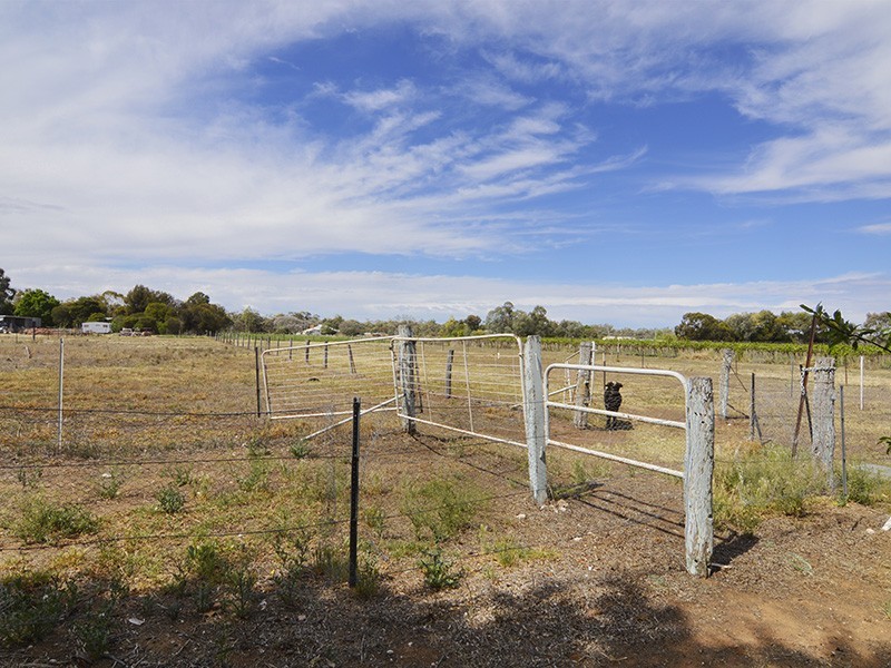 57 Dean Road, Robinvale VIC 3549