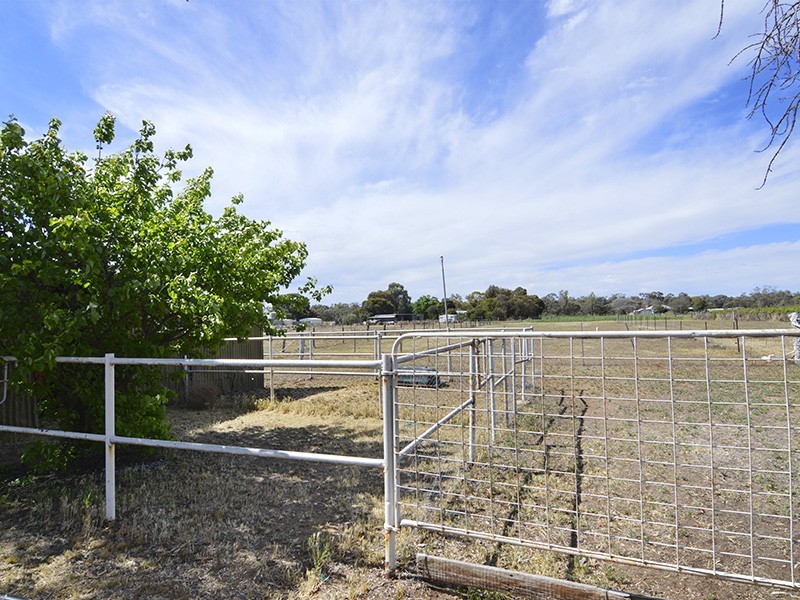 57 Dean Road, Robinvale VIC 3549