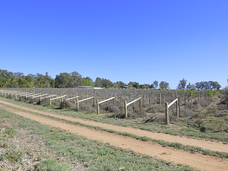 Lot 2 133 West Road, Buronga NSW 2739
