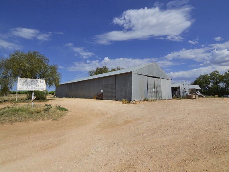 149 Gordon Avenue, Mildura VIC 3500
