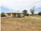 556 Walnut Avenue, Mildura VIC 3500