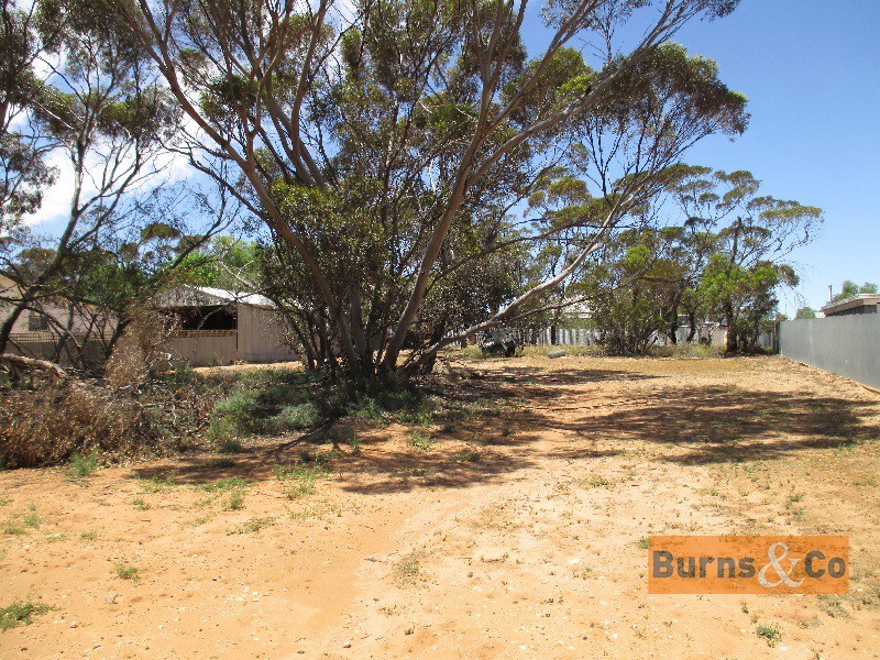 4 Carter Street, Speed VIC 3488