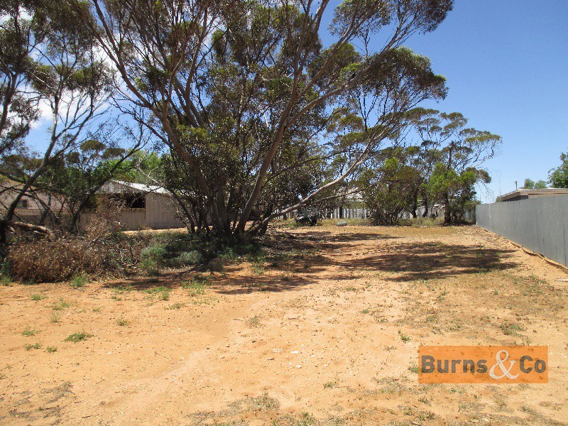 4 Carter Street, Speed VIC 3488