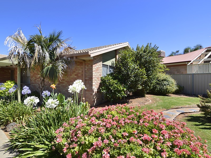 11 Rusticana Court, Mildura VIC 3500