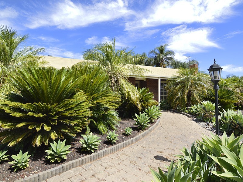 267 Morpung Avenue, Irymple VIC 3498