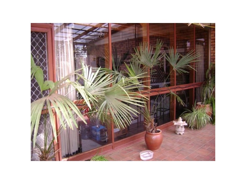 266 Bromley Road, Robinvale VIC 3549