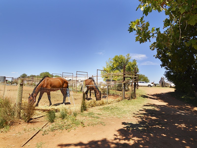 3 Merrijig Avenue, Red Cliffs VIC 3496