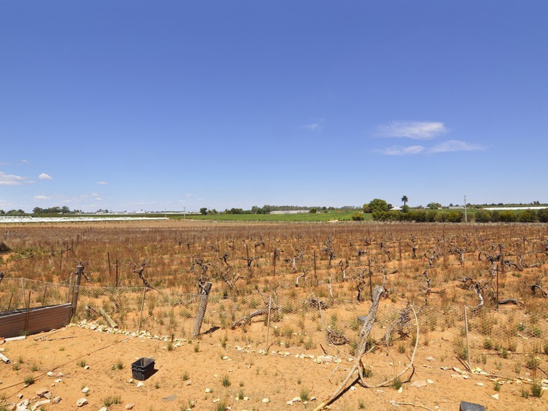 3 Merrijig Avenue, Red Cliffs VIC 3496