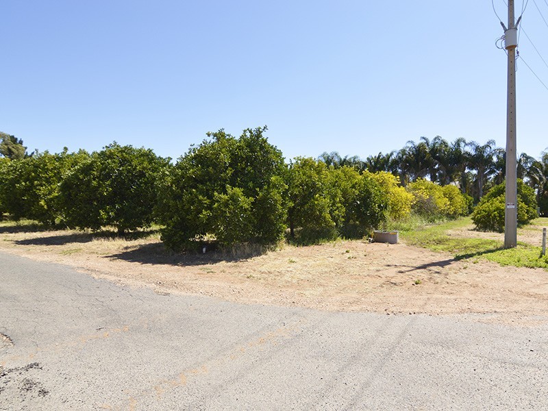 Lot 2, 115 Fenwick Road, Berri SA 5343