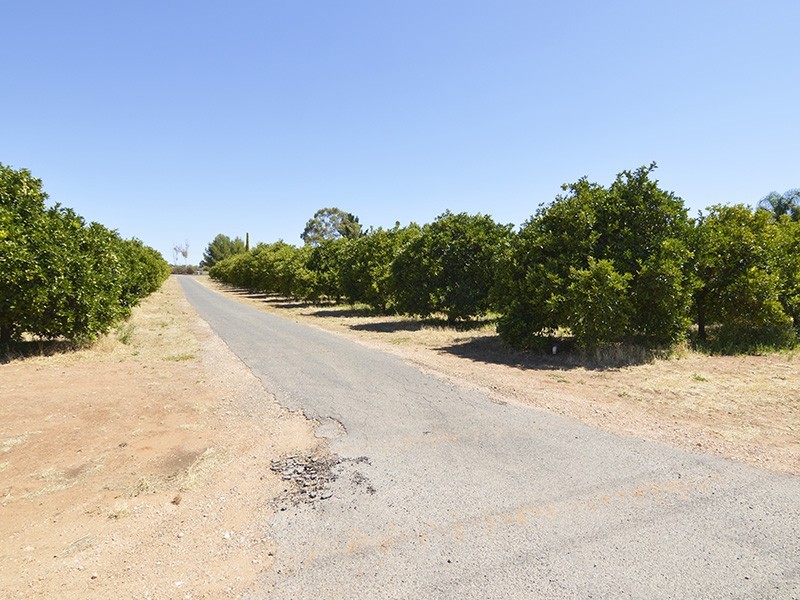 Lot 2, 115 Fenwick Road, Berri SA 5343